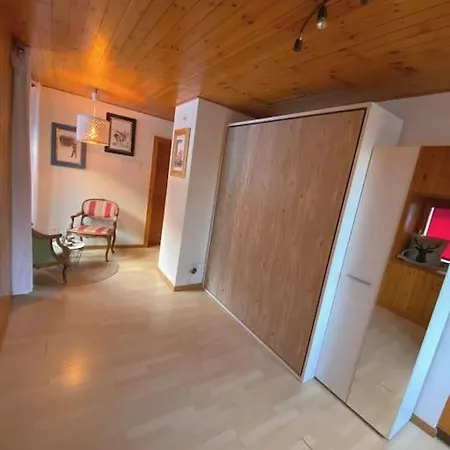 Studio Cosy Au Centre Du Village Apartment